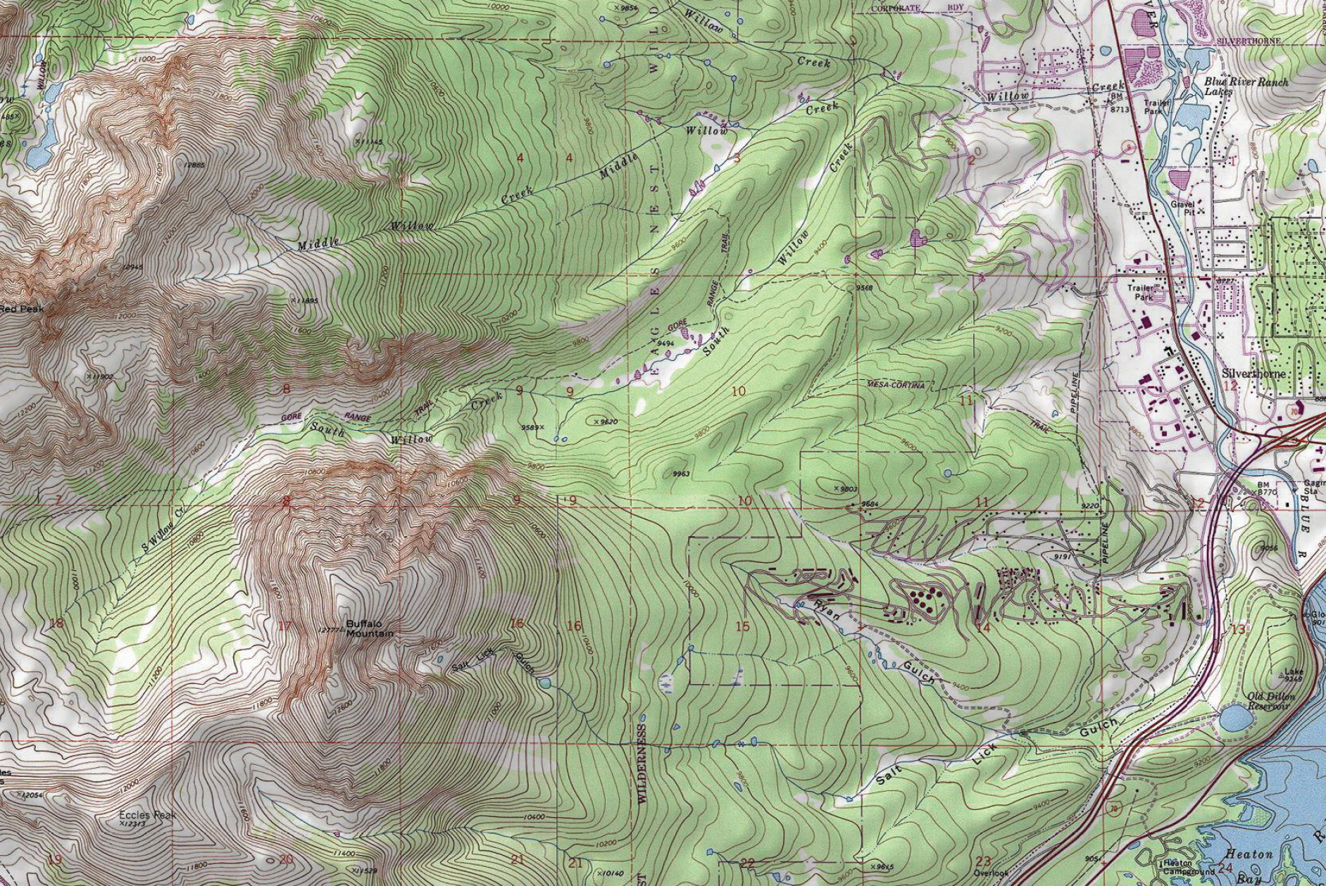 Buffalo Mountain Topo Map Swatch
